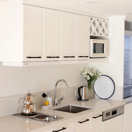 Gubiba Evleri אלאקאטי