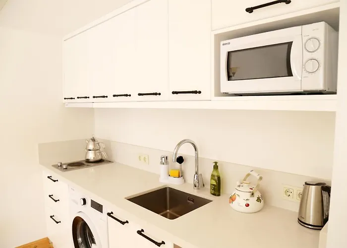 Gubiba Evleri 2* Алачати